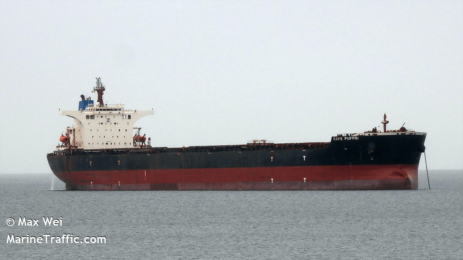 MV CAPE PUFFIN