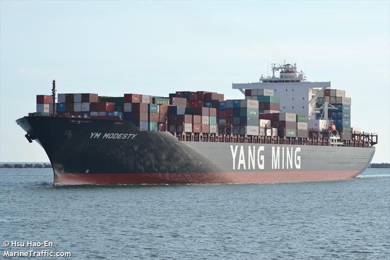 MV YM MODESTY