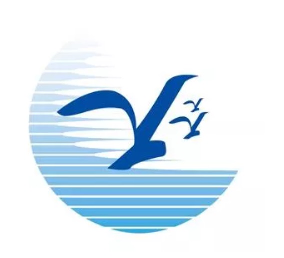 Partner11